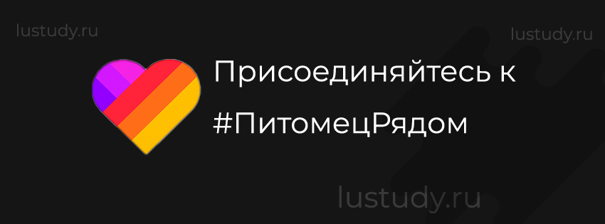 Присоединяйтесь к #ПитомецРядом